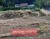 moyzaki vasilakos 1
